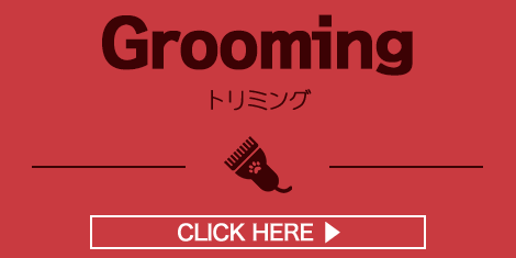 トリミング Grooming
